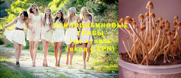 ешки Абдулино