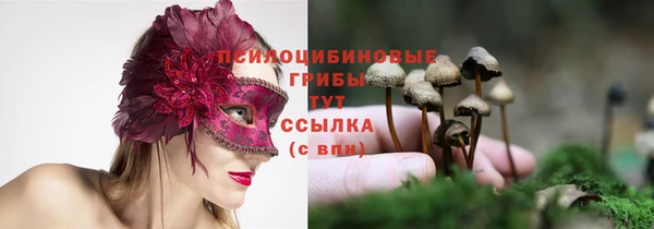 бошки Краснослободск