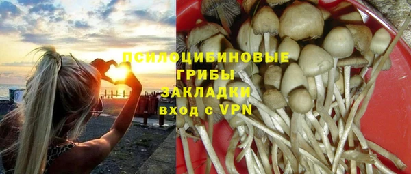 молекула духа Красноперекопск