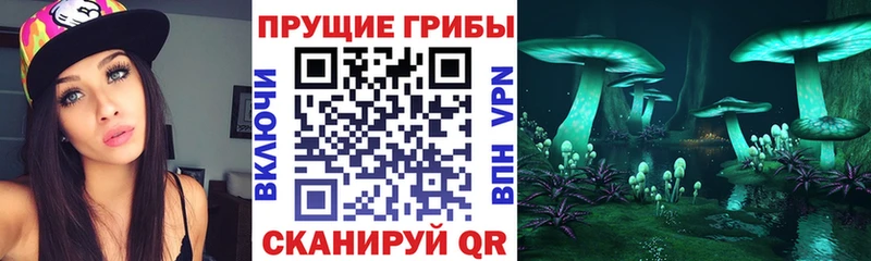 блэк спрут Стрежевой Галлюциногенные грибы Psilocybine cubensis наркошоп